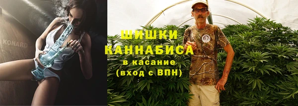 мескалин Арсеньев