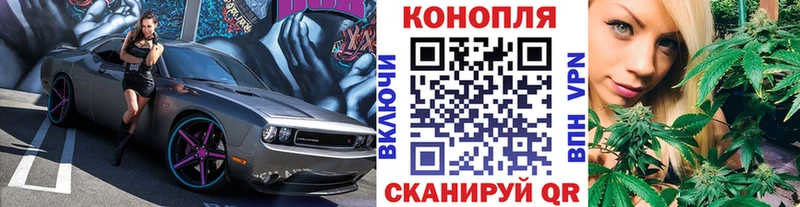 Купить  Чехов  Бошки марихуана сатива 